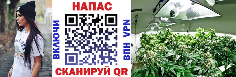 Купить  Светлый  Марихуана AK-47 